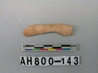 藏品(獸骨殘骸)的圖片